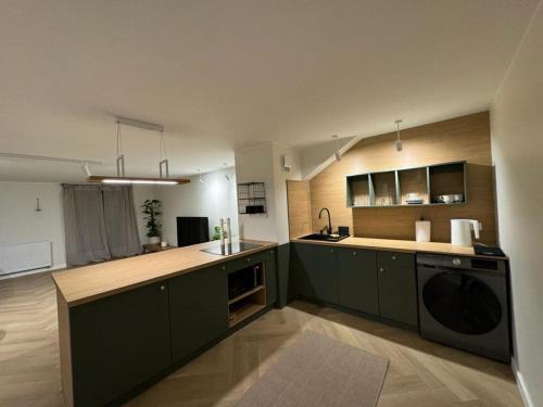 Kuchyň nebo kuchyňský kout v ubytování APARTAMENT OVOC 1.0