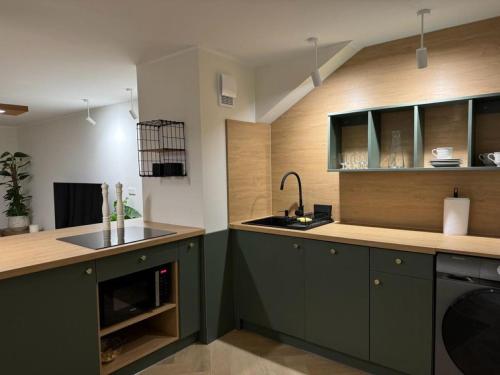 uma cozinha com armários verdes e um lavatório em APARTAMENT OVOC 1.0 em Chodzież