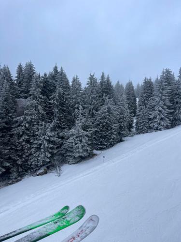 a pair of skis in the snow in front of trees at Woodside Kopaonik & SPA by Slopeview in Kopaonik