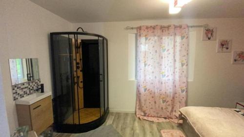 ein Bad mit einer Dusche und einer Glastür in der Unterkunft Chambre double chez Audrey in Saligny-sur-Roudon
