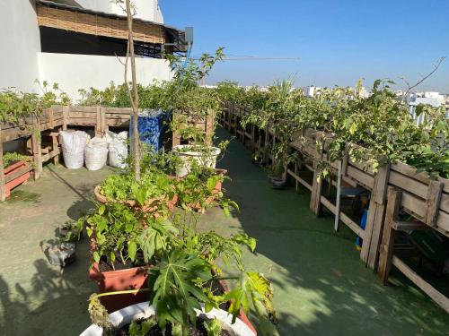 Κήπος έξω από το Chambres d'hôtes
