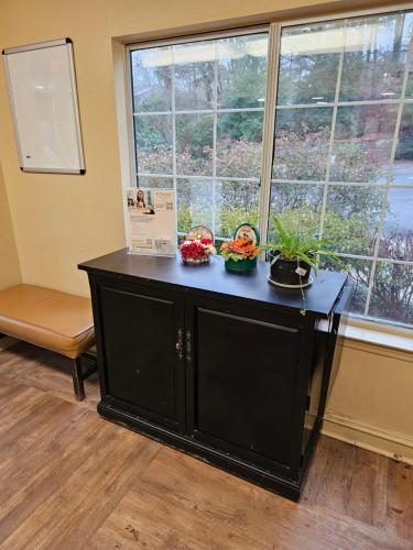 a black cabinet in front of a window with vegetables on it at Suburban Studios Raleigh - Crabtree Valley in Raleigh