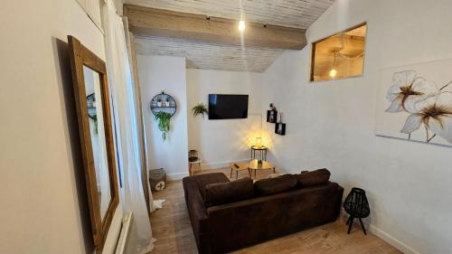 TV a/nebo společenská místnost v ubytování le joyau de la cite