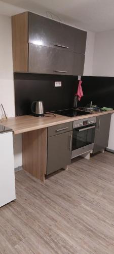 uma cozinha com um balcão com um lavatório e um fogão em Komfortable Wohnung in Happenbach em Abstatt