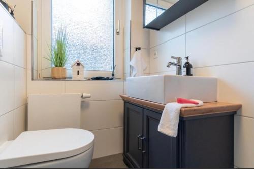 a bathroom with a sink and a toilet and a window at Haus Schwanensee, Wohnung 9 in Bosau