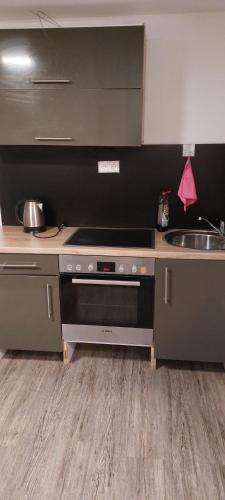 uma cozinha com um fogão e um lavatório em Komfortable Wohnung in Happenbach em Abstatt