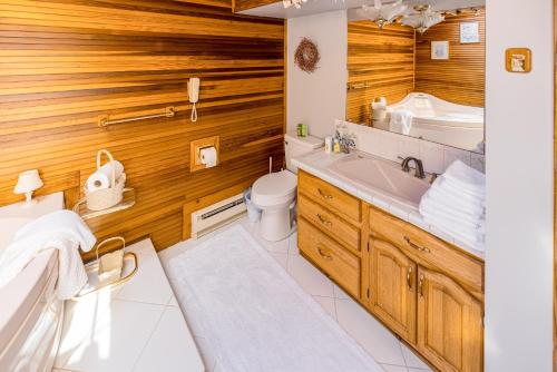 y baño con lavabo y aseo. en Tunkahannock Creek Cabin, en Craig