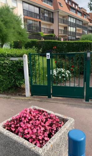 Une bande de fleurs roses devant une porte dans l'établissement Résidence Deauville 2000 à 50m plage, à Villers-sur-Mer