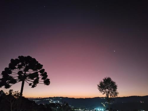 a night sky with a tree in the foreground at Mouton Blanc Campos do Jordão in Campos do Jordão