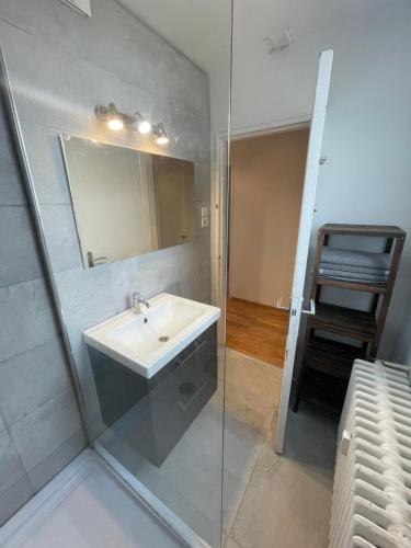 une salle de bain avec un lavabo et un miroir dans l'établissement #6 : 2 pièces dernier étage très calme 40m2, à Strasbourg