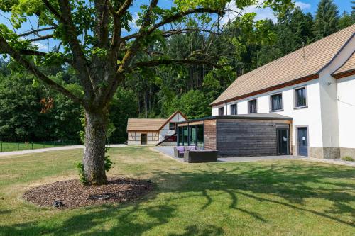 Les Jardins du Nideck في Oberhaslach: شجرة في ساحة أمام مبنى