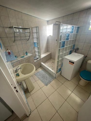 La salle de bains est pourvue d'un lavabo, d'une douche et de toilettes. dans l'établissement Chez Maïté, à Terre-de-Bas