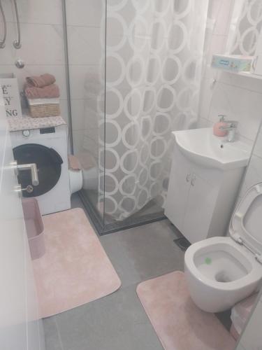 a small bathroom with a toilet and a shower at Milica in Trebinje