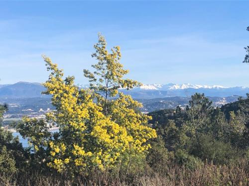 Plein Soleil – Photos 2