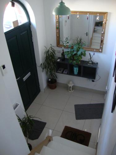a bathroom with a green door and some plants at Unique World War II history attached to this dwelling in Dublin