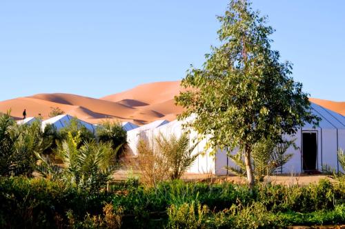 a building in the middle of a desert with a tree at Rainbow Desert Camp in Merzouga