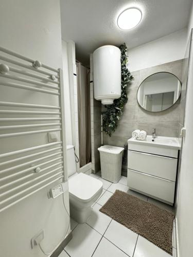 une salle de bain avec toilettes, lavabo et miroir dans l'établissement L'Epi - Balcon - 2 vélos -Proche parking gratuit, à Avignon