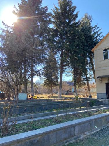 a group of trees in a yard with a building at Yeghevni Guest House in Odzun in Odzun