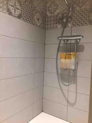 une douche avec un tuyau dans une salle de bain dans l'établissement TRESTRIGNEL MAGNIFIQUE VUE MER. Studio à PERROS-GU, à Perros-Guirec