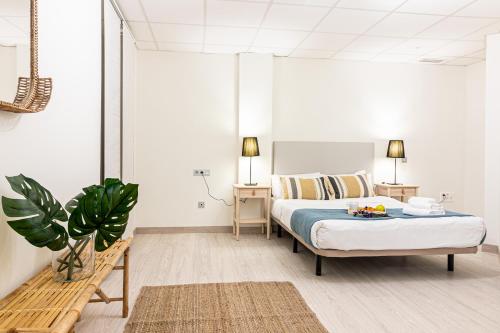 Ibarra FreshApartments