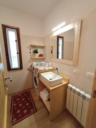 ein Badezimmer mit einem Waschbecken und einer Waschmaschine in der Unterkunft La casa dello stambecco in Tarvis