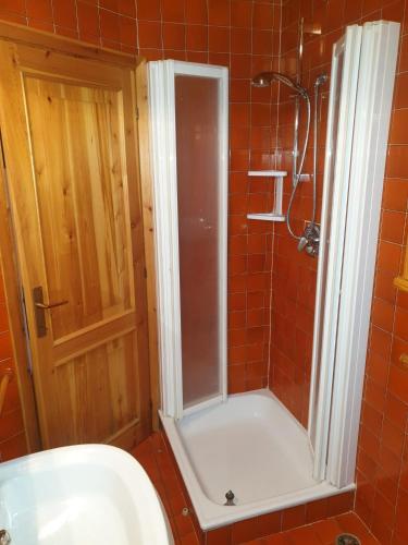 a bathroom with a shower with a toilet and a sink at Appartamenti Nonno Gianni in Rocca Pietore