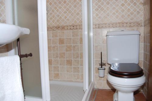 a bathroom with a toilet and a shower at Los Herrero in Zarzuela del Monte