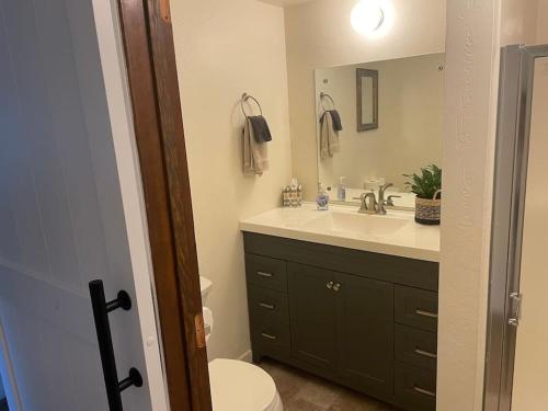 a bathroom with a sink and a toilet and a mirror at Tahoe Lake View Hill Top Retreat in Incline Village