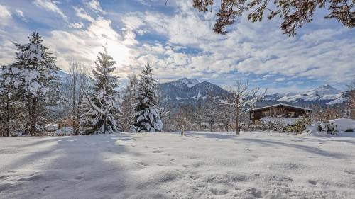 une cour enneigée avec une maison, des arbres et des montagnes dans l'établissement Appartement auf dem Schlossberg, à Fieberbrunn