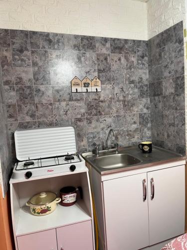 a small kitchen with a stove and a sink at Amanda in Calama
