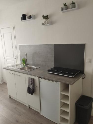 une cuisine avec un évier et un ordinateur portable sur un comptoir dans l'établissement Charmant T2 Dijon Congrexpo, à Dijon