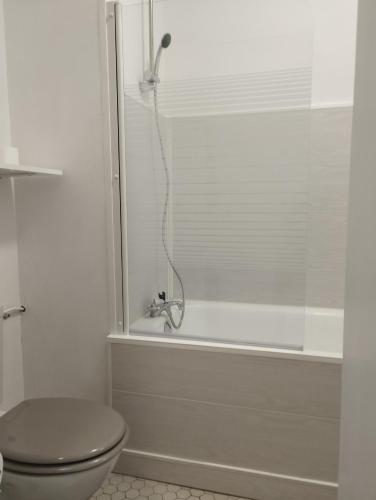 La salle de bains est pourvue d'une douche, de toilettes et d'une baignoire. dans l'établissement Charmant T2 Dijon Congrexpo, à Dijon
