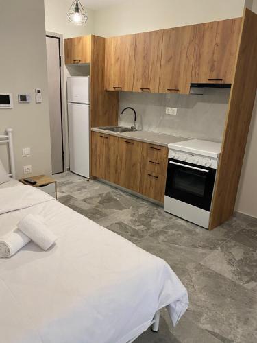 a kitchen with a sink and a stove top oven at Brand new studios Η1-Η2-Η3 in Larisa