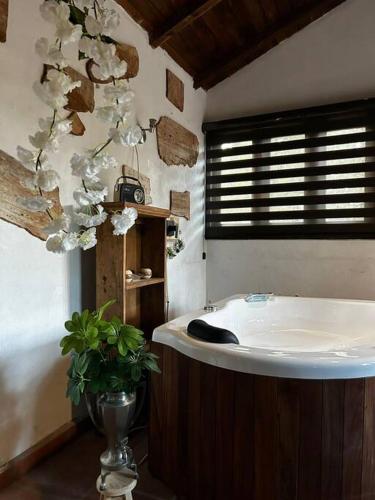 Fotografie z fotogalerie ubytování Cabaña jacuzzi Huasca v destinaci Tepezalá