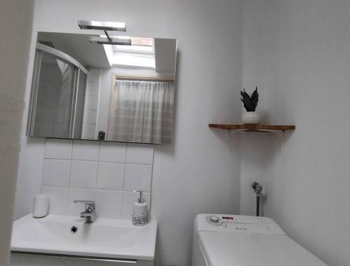une salle de bain avec un lavabo et un miroir et des toilettes dans l'établissement La casa del cielo, à Toulouse