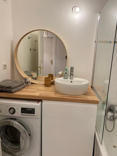 une salle de bain avec un lavabo et un miroir et une machine à laver dans l'établissement Le Quarante Deux, à Serris