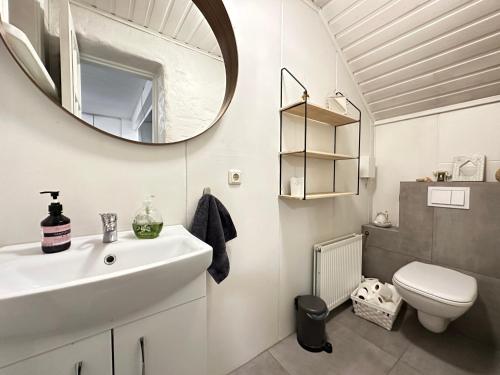 W łazience znajduje się umywalka, lustro i toaleta. w obiekcie Apartment in Reykjavikurvegur - Birta Rentals w Hafnarfjördurze
