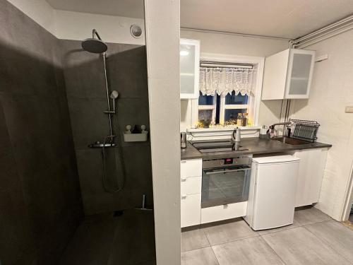 a kitchen with a shower and a sink and a sink at Apartment in Reykjavikurvegur - Birta Rentals in Hafnarfjördur