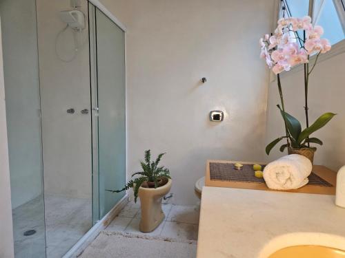 uma casa de banho com uma cabina de duche em vidro e um lavatório. em Espaço Semente Poa Lírio em Porto Alegre