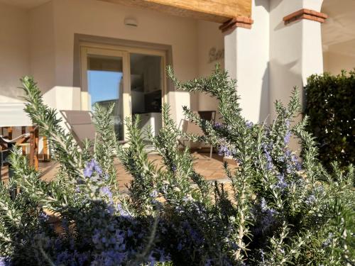 Jardín al aire libre en Residenza Limpiddu