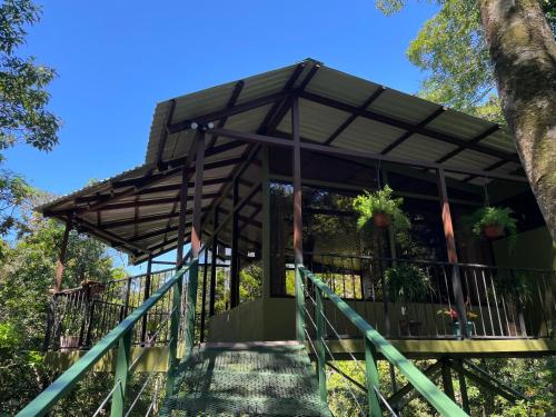 een pergola met een trap naar een gebouw bij Cabañas La Montaña Mountain Lodge in Monteverde Costa Rica