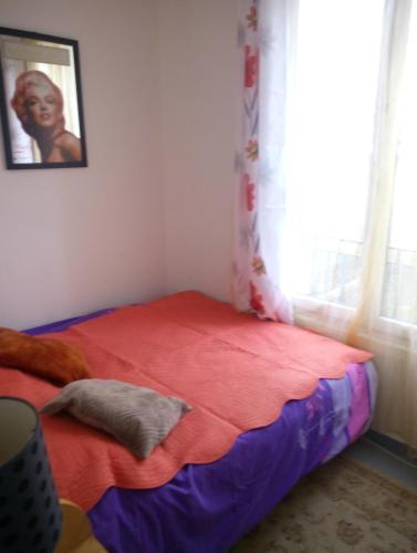 a bedroom with a bed with a red blanket and a window at Ivone guest in Maisons-Alfort