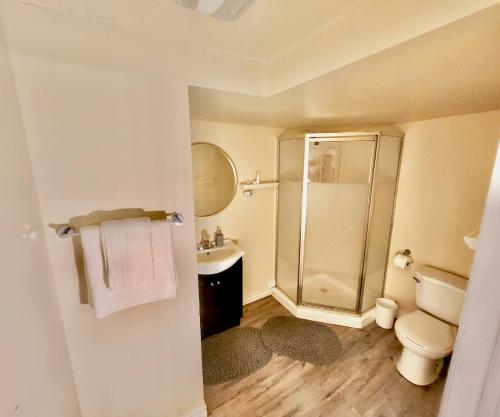 uma casa de banho com um chuveiro, um WC e um lavatório. em Cozy 2BR Basement Apt in Newmarket em Newmarket