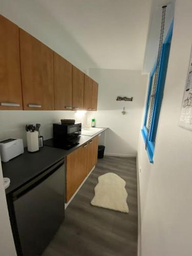 une cuisine avec un évier et un plan de travail dans l'établissement Strasbourg Lifestyle, à Strasbourg