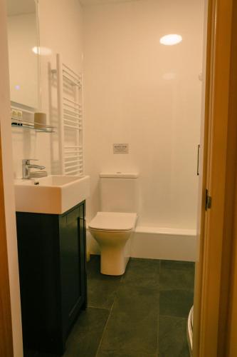 a bathroom with a toilet and a sink at Granary at Tyddyn Isaf in Ruthin