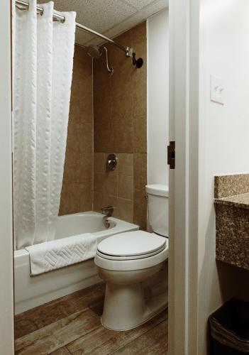 a bathroom with a toilet and a bath tub at Taos Valley Lodge in Taos