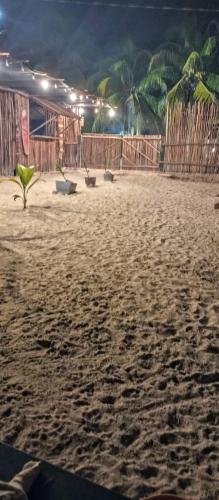 a sandy beach with a group of plants on it at El Regalo El Cuyo in El Cuyo