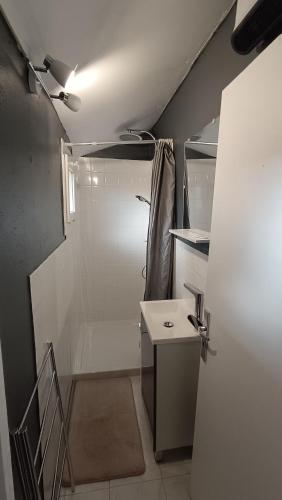 La petite salle de bains est pourvue d'une douche et d'un lavabo. dans l'établissement Charmante Maison de Village T3 Rénovée et son Jardin, à Revel
