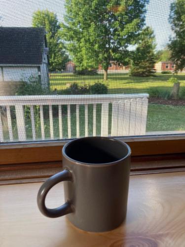 a cup of coffee sitting on a window sill at Cozy Algoma Retreat! Minutes to Beach and Downtown! in Algoma