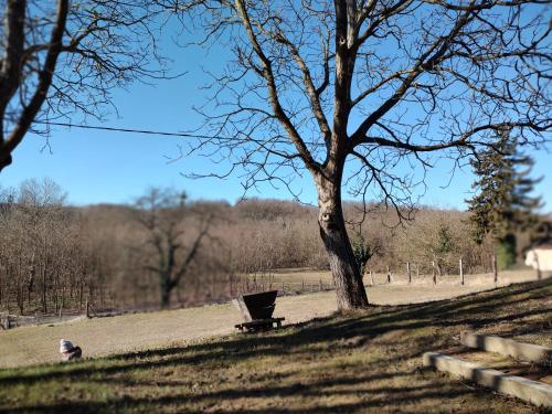 a park with a bench and a tree at Marókahegy in Zalakaros